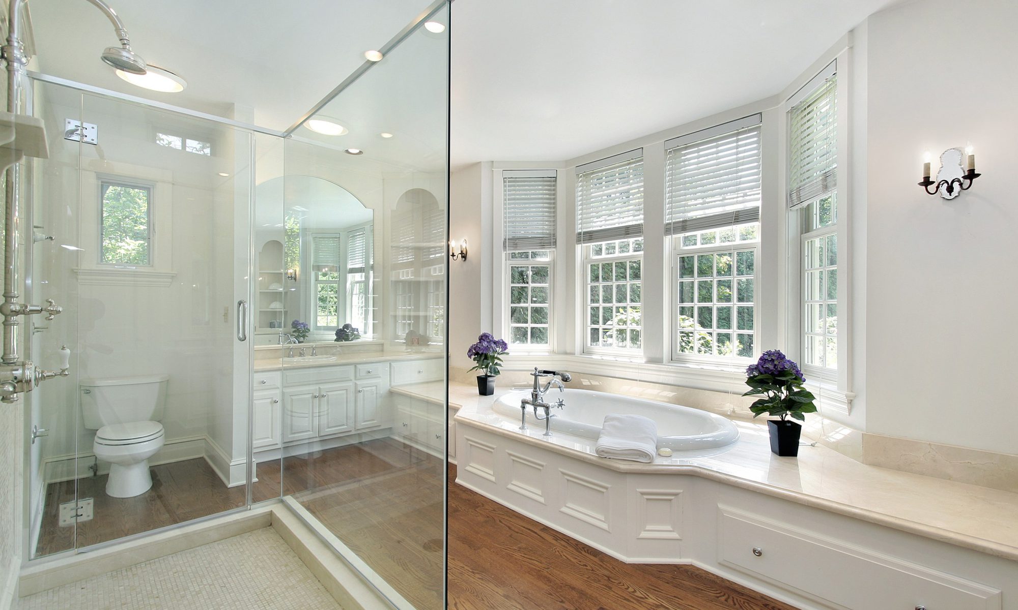 bathroom remodeling near me Mount Prospect
