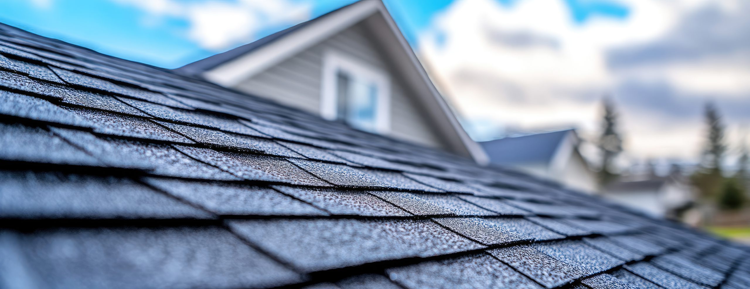 TM&S Roofing | Premium Roofing Solutions