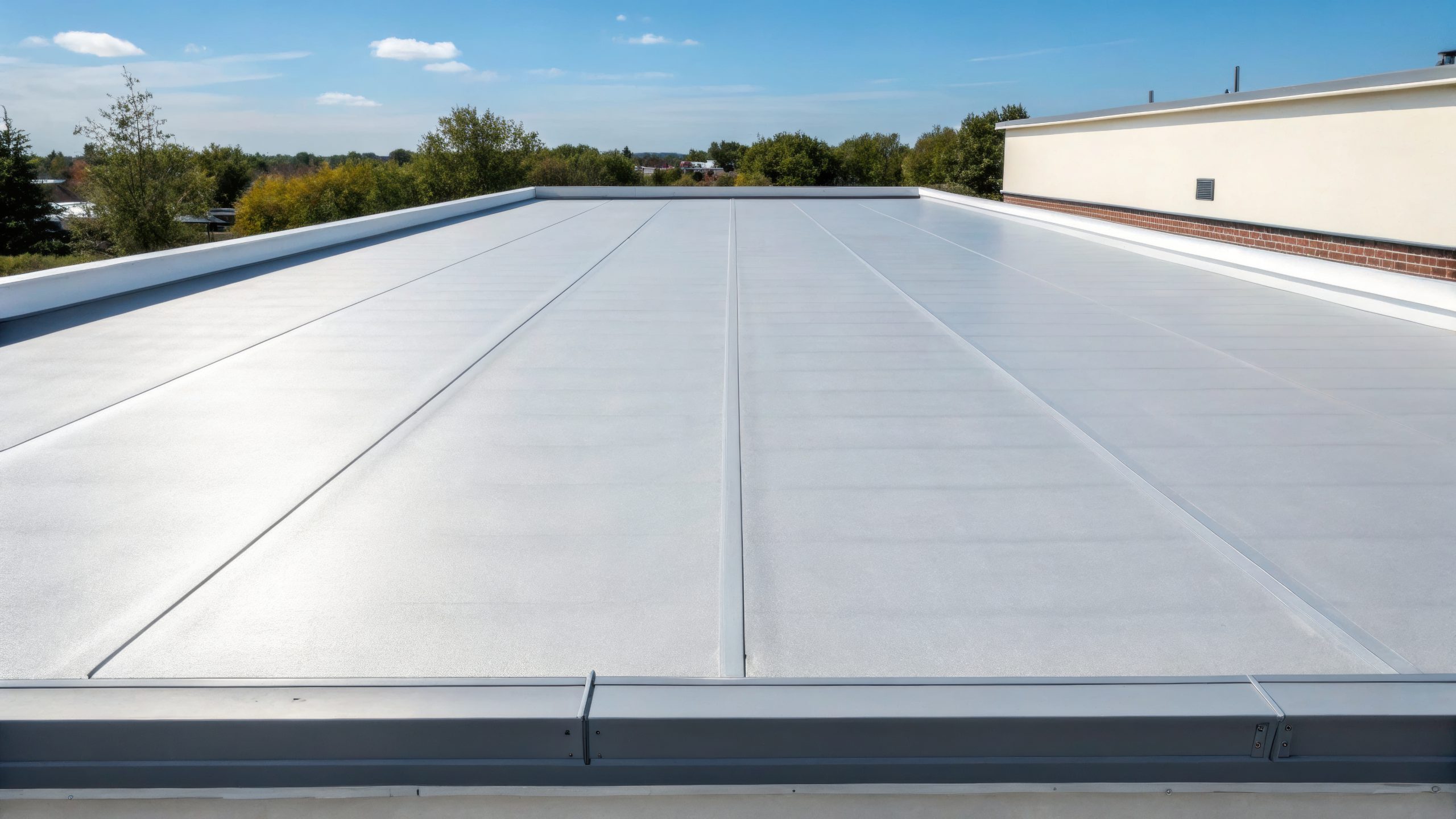 Advanced Leak Detection and Commercial Roof Restoration